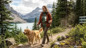 An illustration of a mom walking her dog along a trail in Banff, Alberta, comfortably wearing a hands-free breast pump under her jacket.